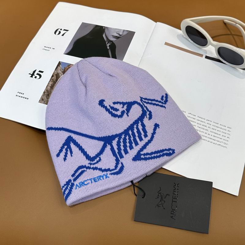 Arcteryx Hat dx (924)