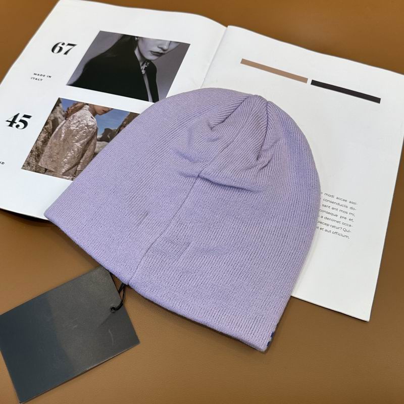 Arcteryx Hat dx (928)