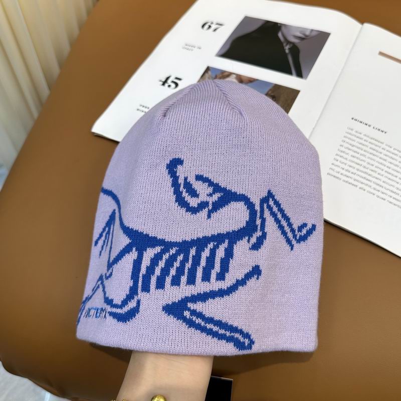 Arcteryx Hat dx (929)