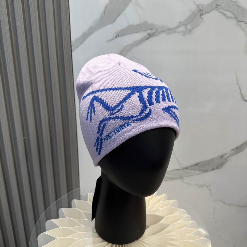 Arcteryx Hat dx (930)