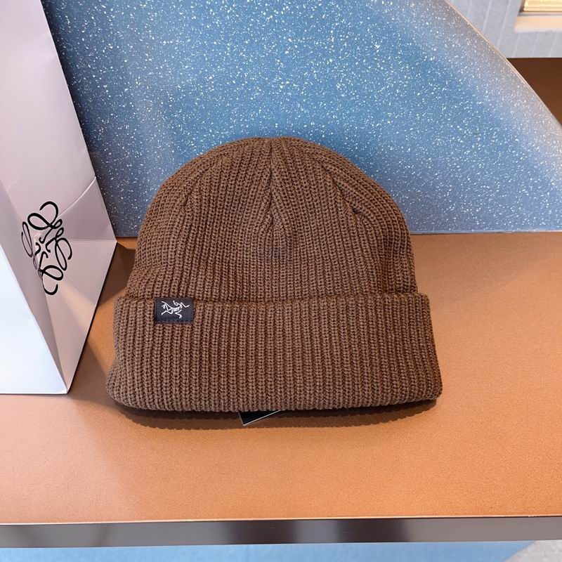 Arcteryx hat (1290)