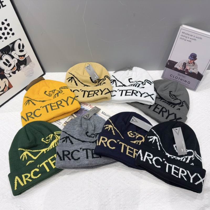 Arcteryx hat (2219)