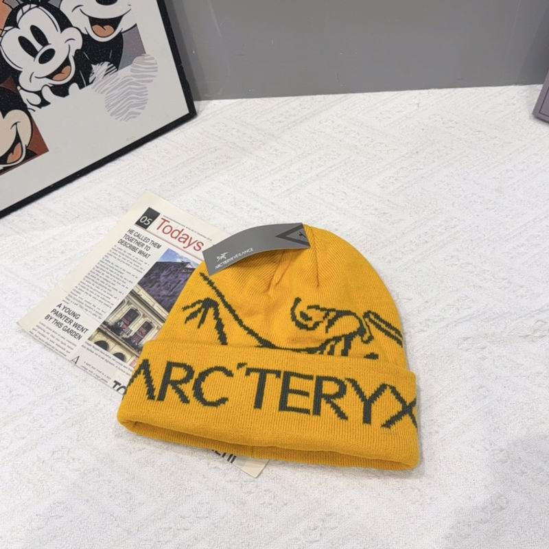 Arcteryx hat (2220)