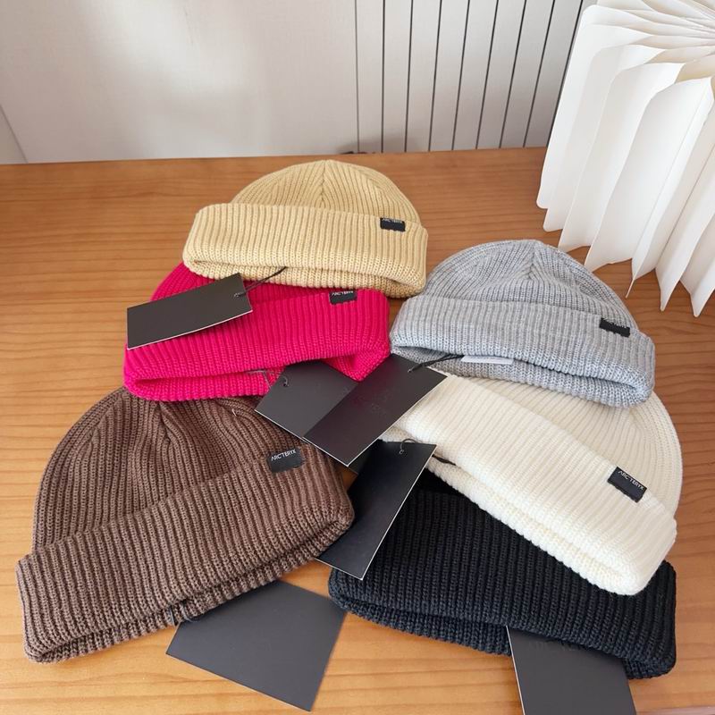 Arcteryx hat dx (106)