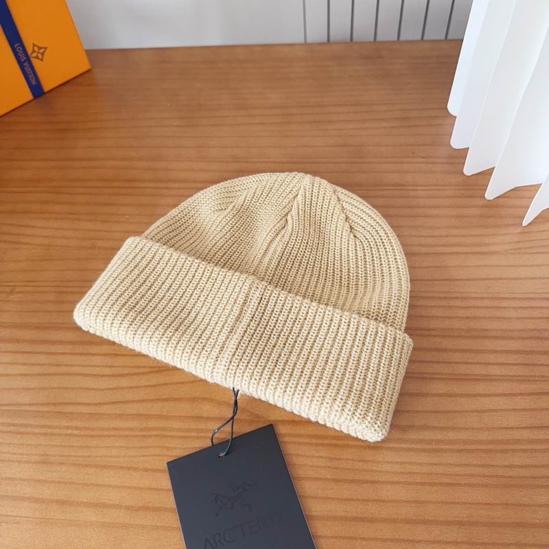 Arcteryx hat dx (110)