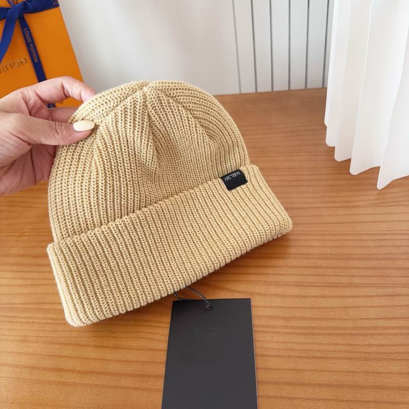 Arcteryx hat dx (111)