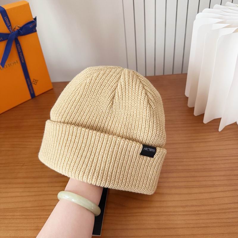 Arcteryx hat dx (113)