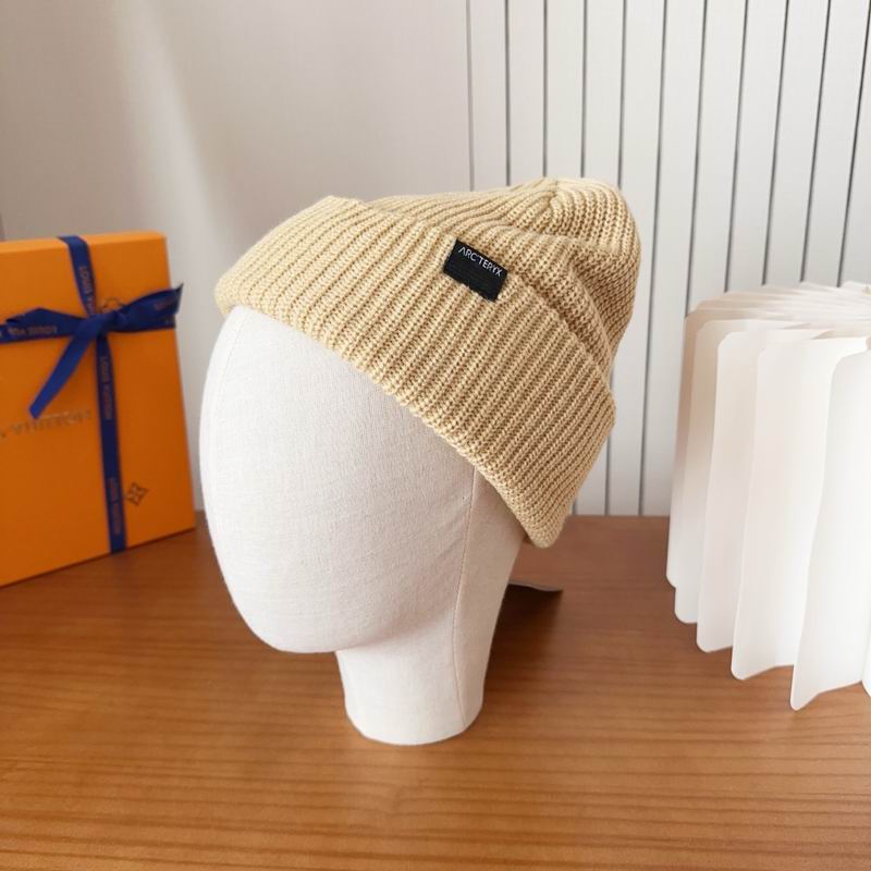 Arcteryx hat dx (114)