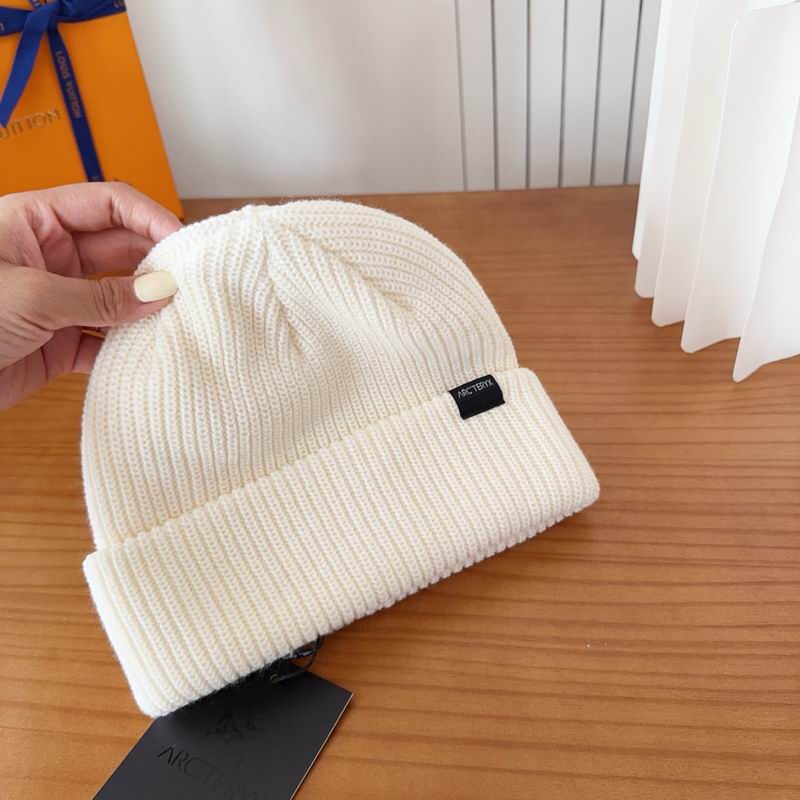 Arcteryx hat dx (118)