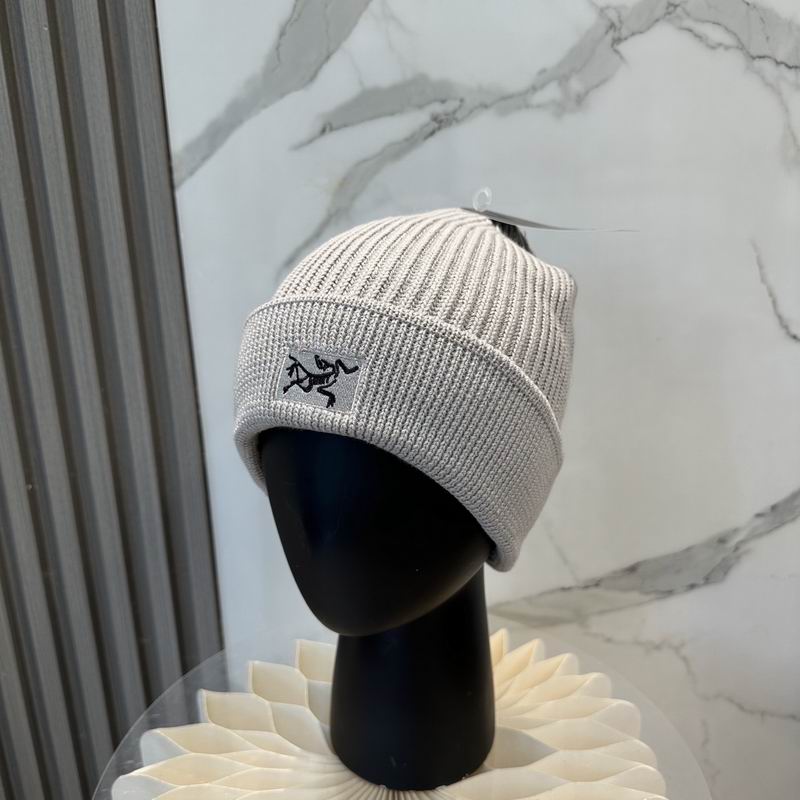 Arcteryx hat dx (1184)