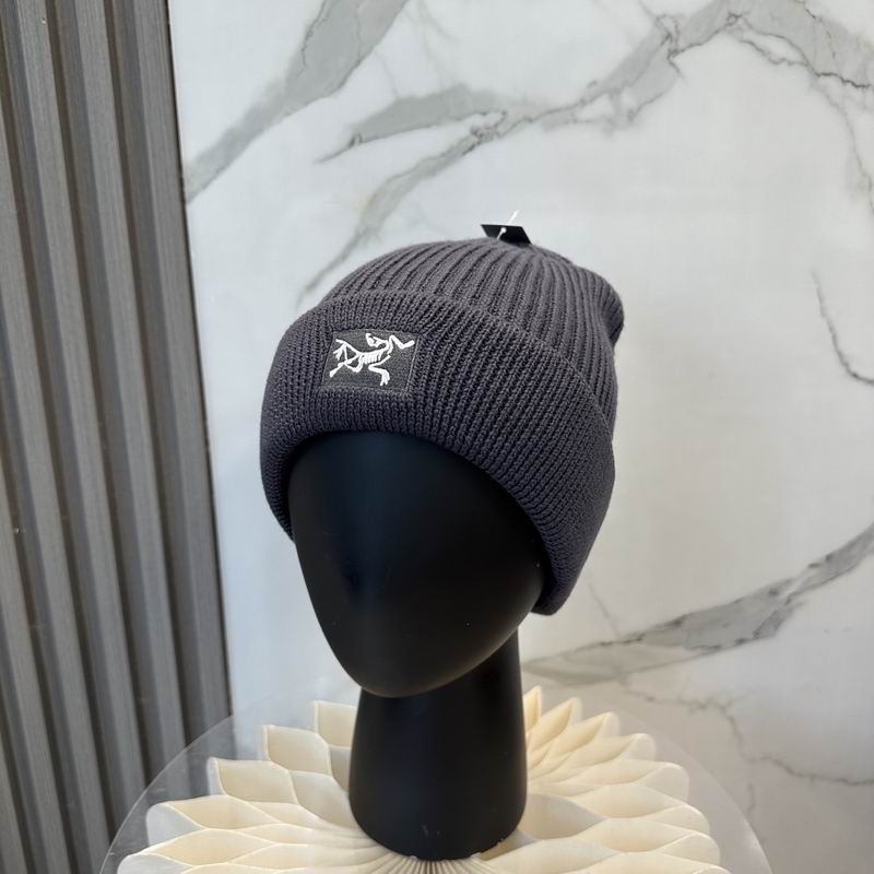 Arcteryx hat dx (1193)