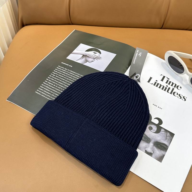 Arcteryx hat dx (1200)