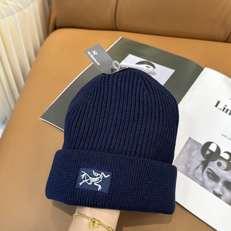 Arcteryx hat dx (1201)