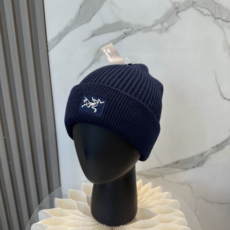 Arcteryx hat dx (1202)