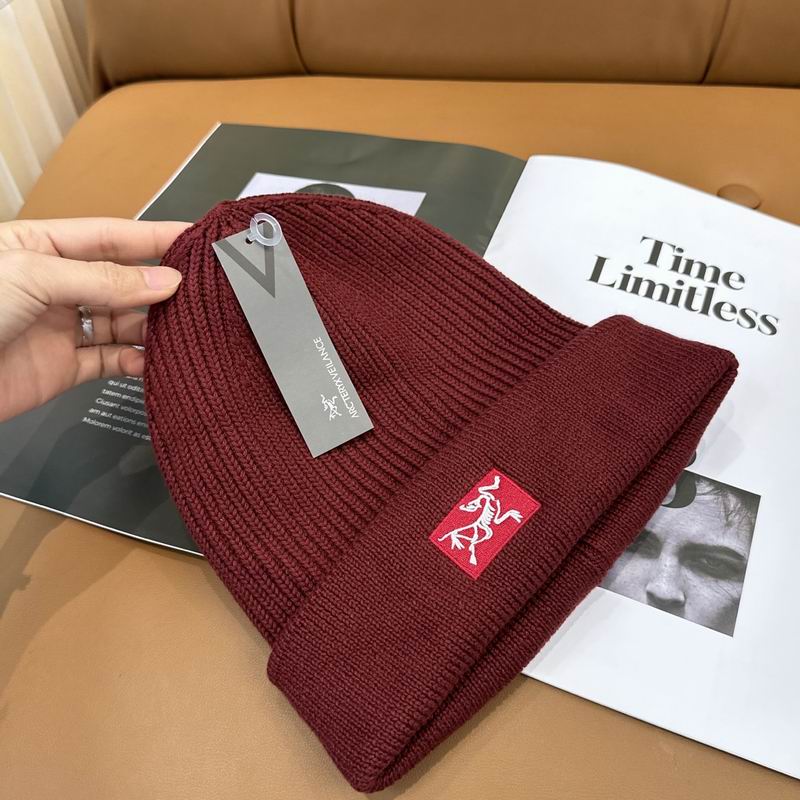 Arcteryx hat dx (1204)