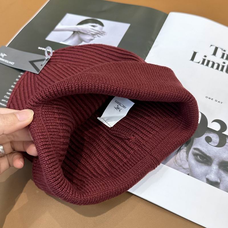 Arcteryx hat dx (1208)