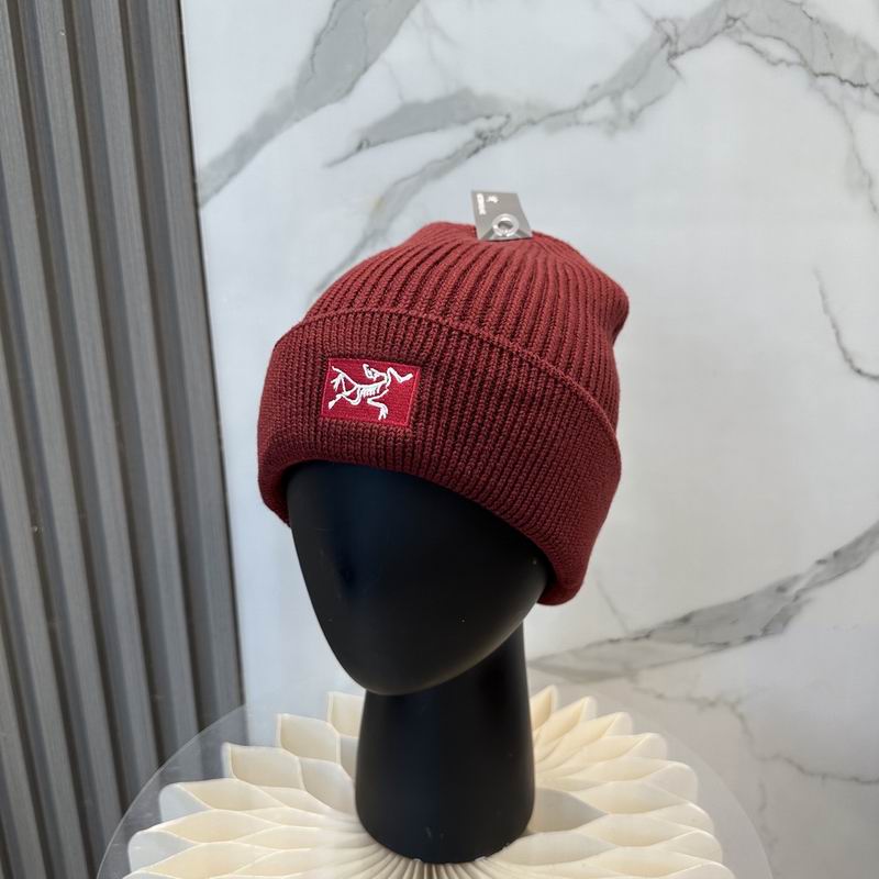 Arcteryx hat dx (1211)