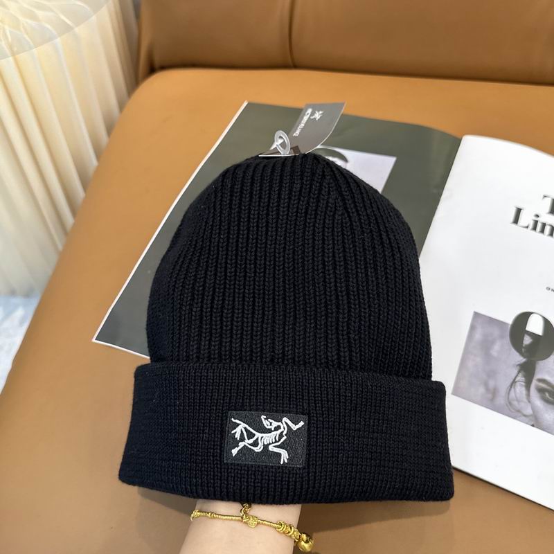 Arcteryx hat dx (1219)