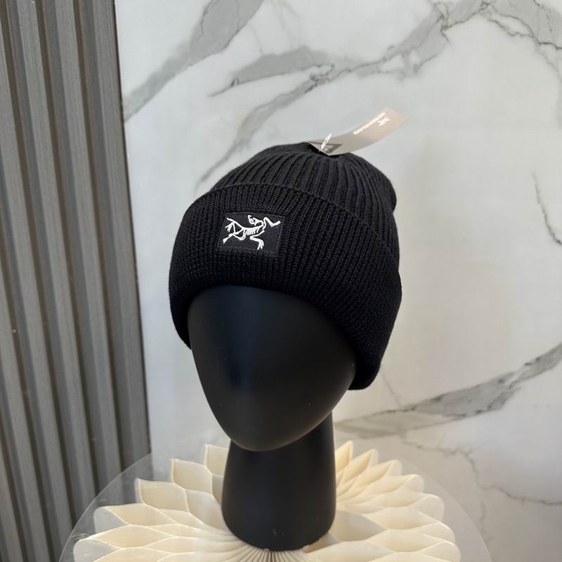 Arcteryx hat dx (1220)