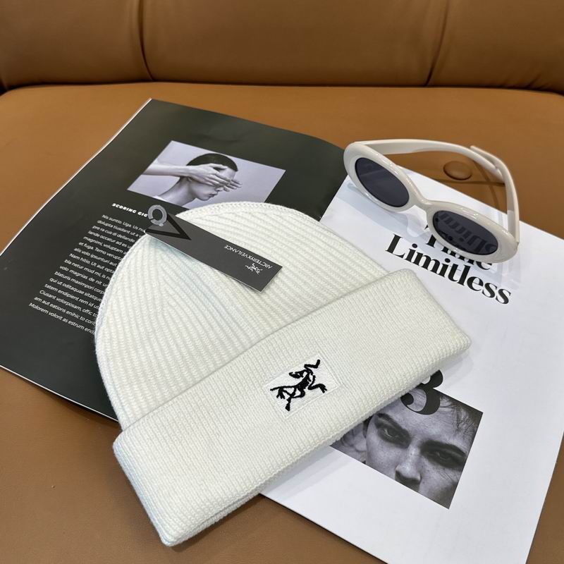 Arcteryx hat dx (1223)