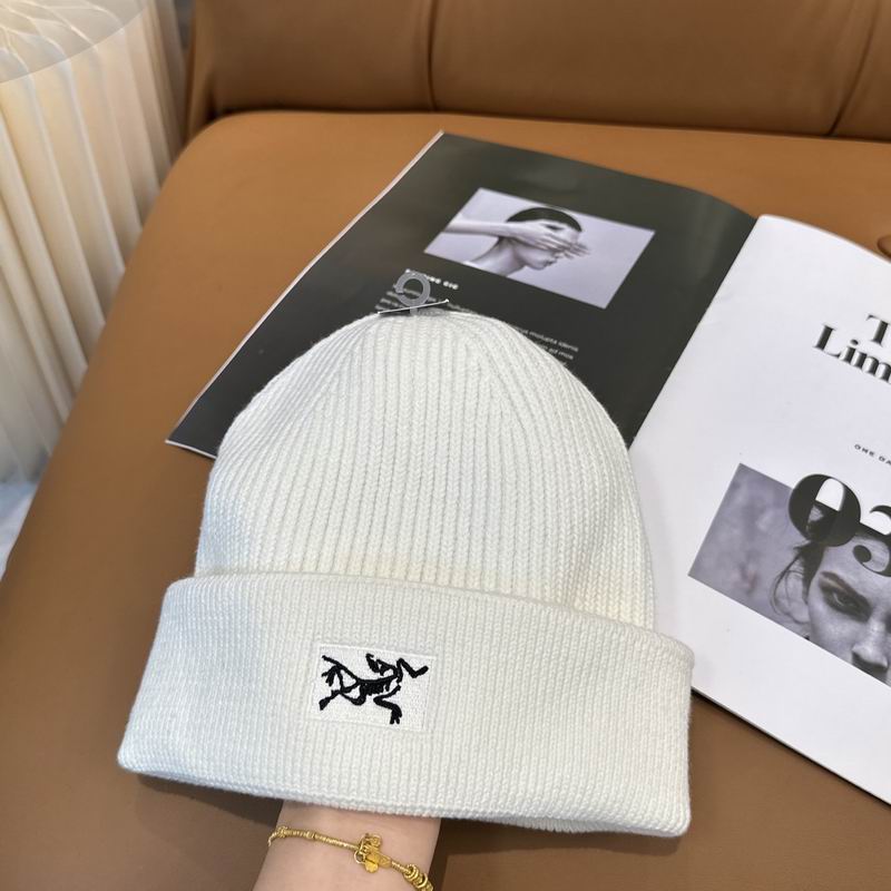 Arcteryx hat dx (1228)