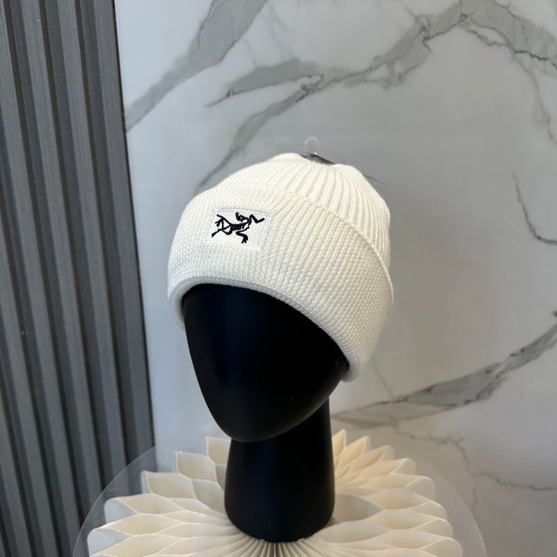 Arcteryx hat dx (1229)