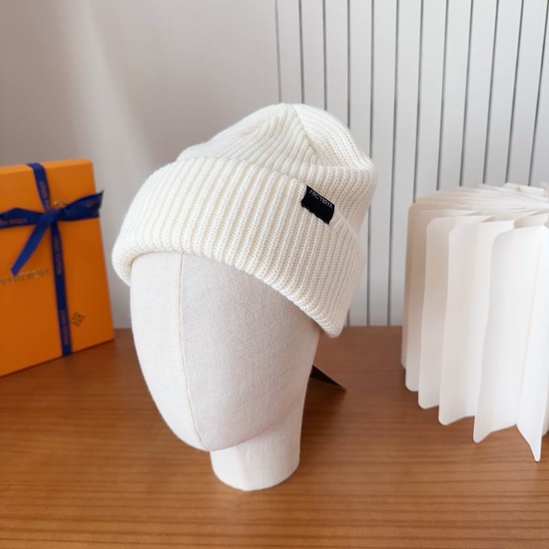 Arcteryx hat dx (123)