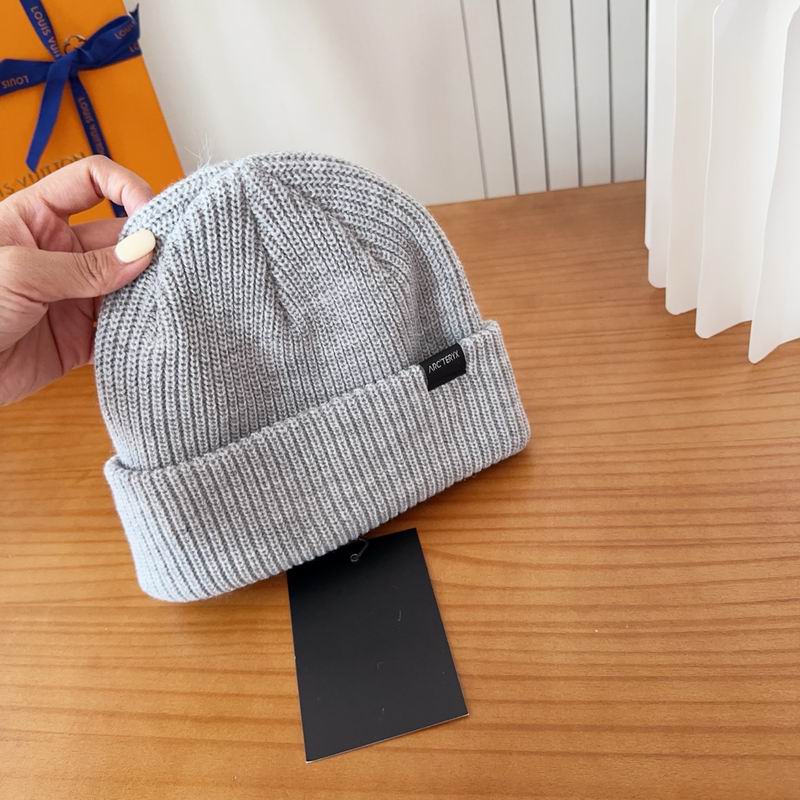 Arcteryx hat dx (127)