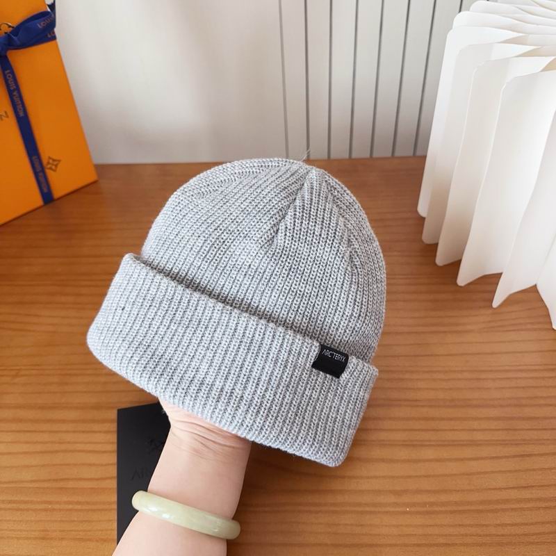 Arcteryx hat dx (131)