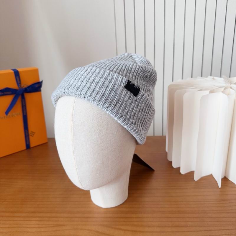 Arcteryx hat dx (132)