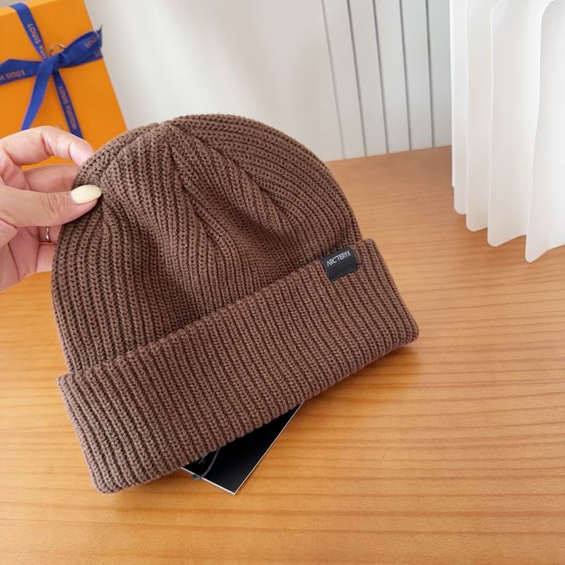 Arcteryx hat dx (135)