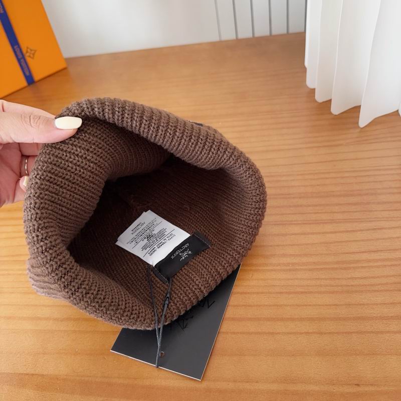 Arcteryx hat dx (136)