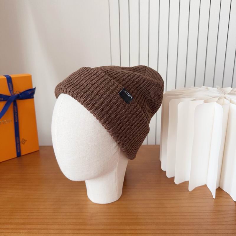 Arcteryx hat dx (141)