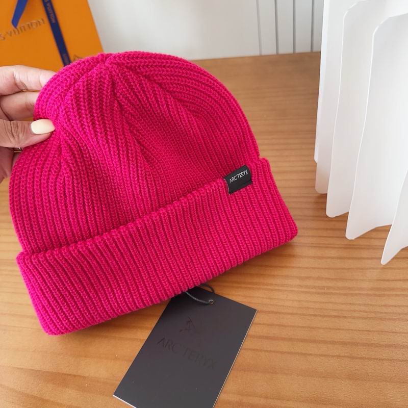 Arcteryx hat dx (144)