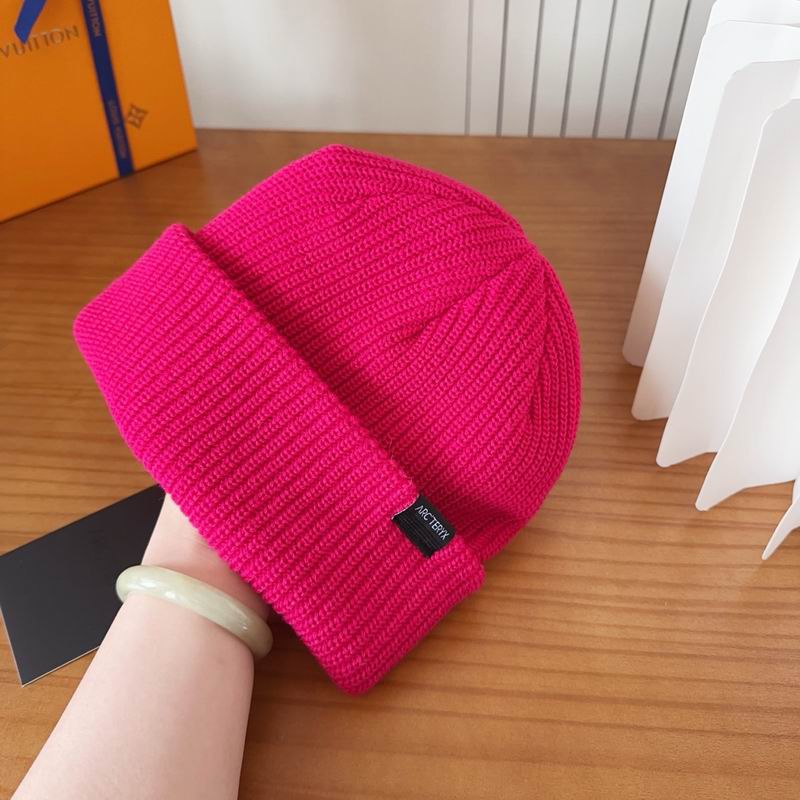 Arcteryx hat dx (147)