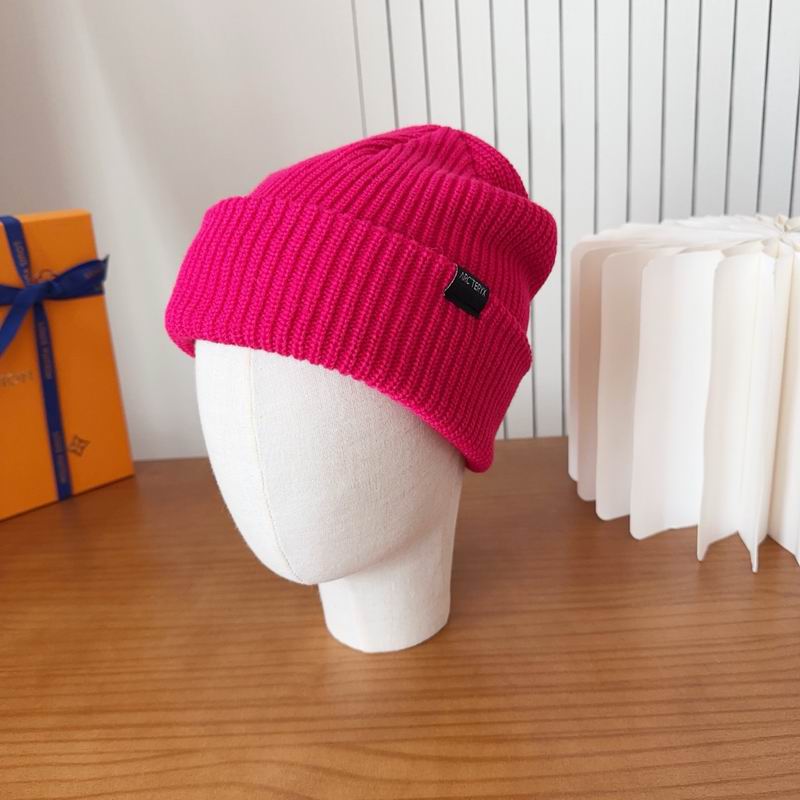 Arcteryx hat dx (150)