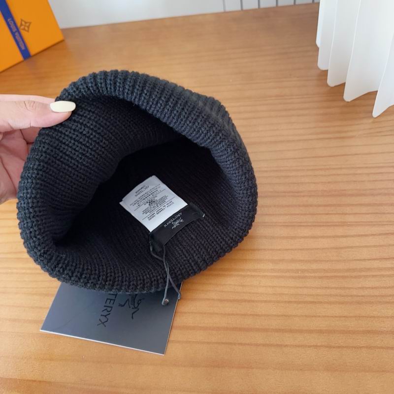 Arcteryx hat dx (154)