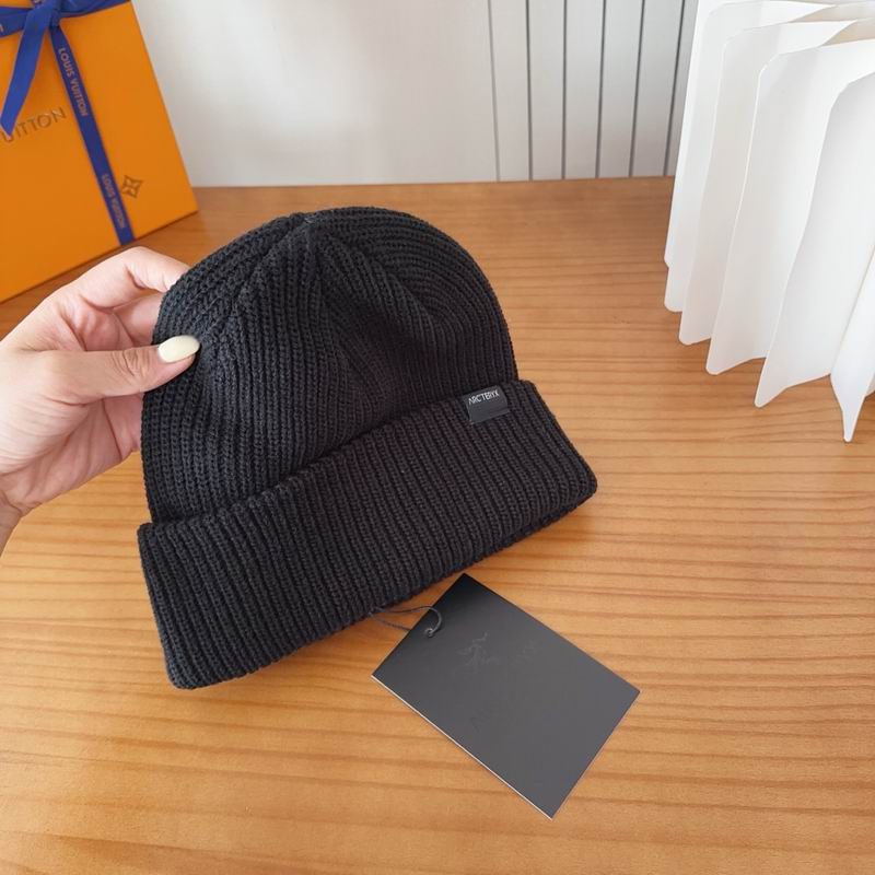 Arcteryx hat dx (157)