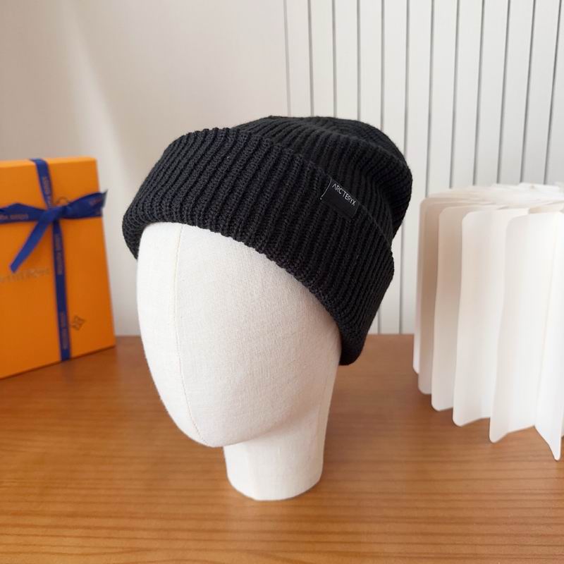 Arcteryx hat dx (158)