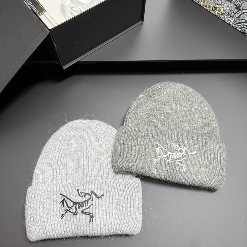 Arcteryx hat dx (296)