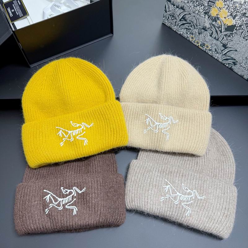 Arcteryx hat dx (297)