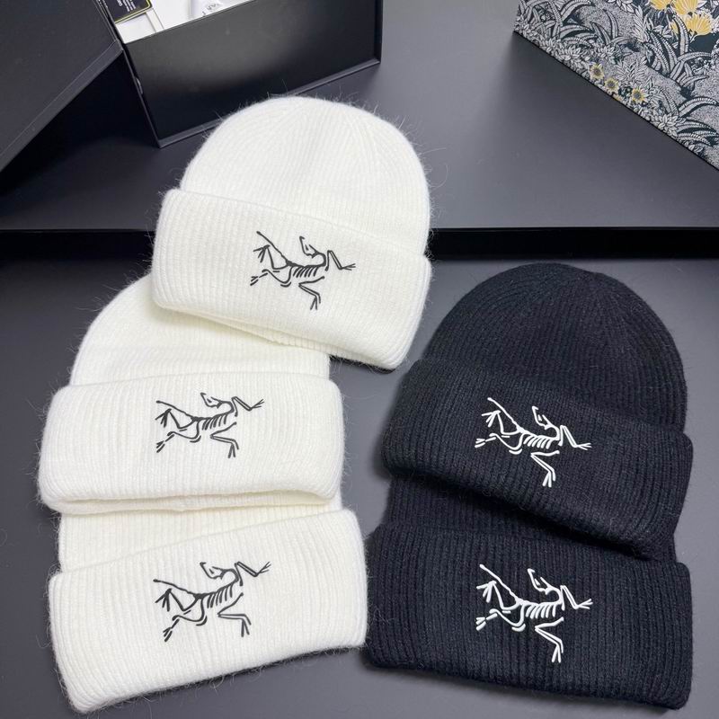 Arcteryx hat dx (298)