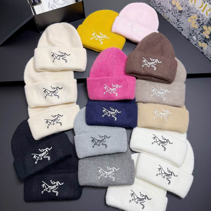 Arcteryx hat dx (300)