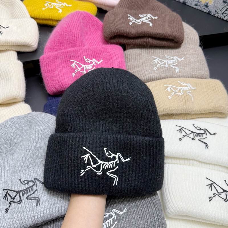 Arcteryx hat dx (301)