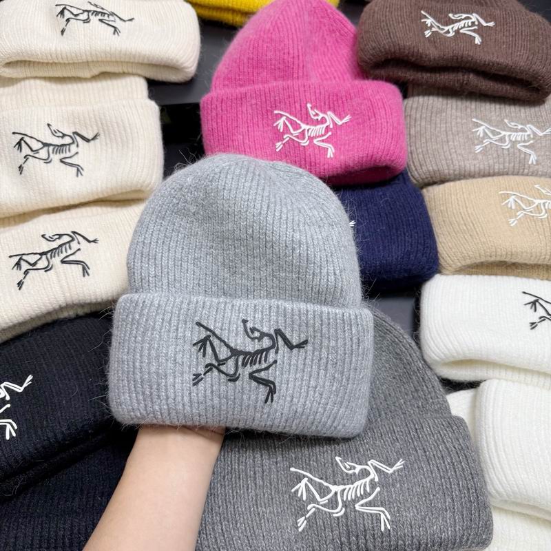 Arcteryx hat dx (302)