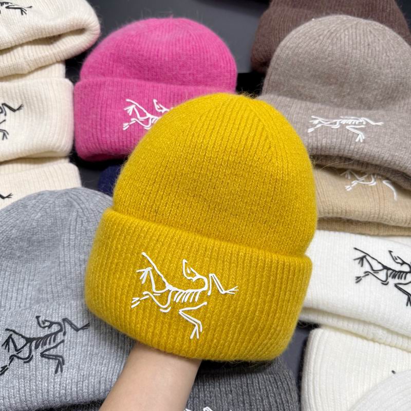 Arcteryx hat dx (303)