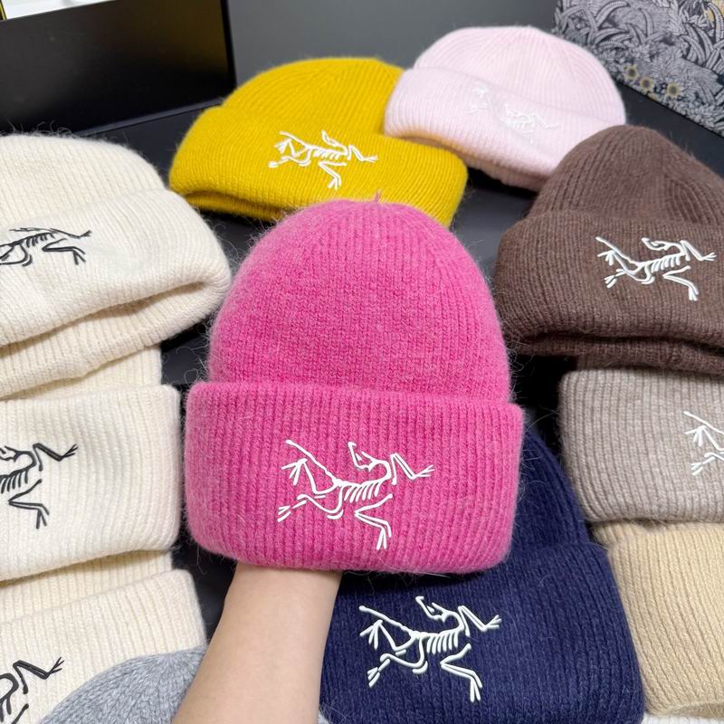 Arcteryx hat dx (304)