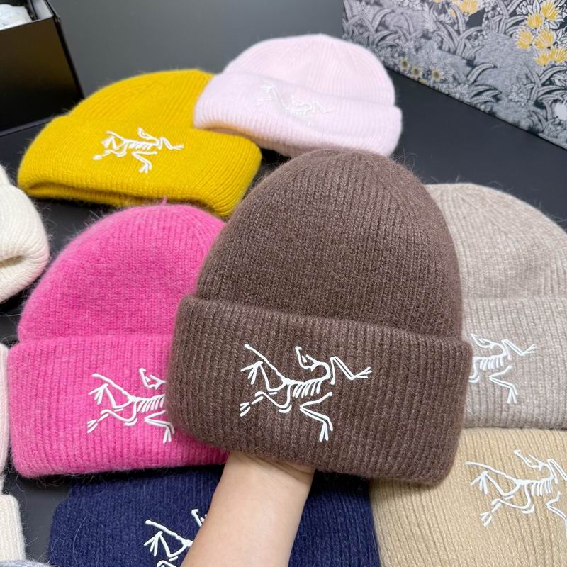 Arcteryx hat dx (305)