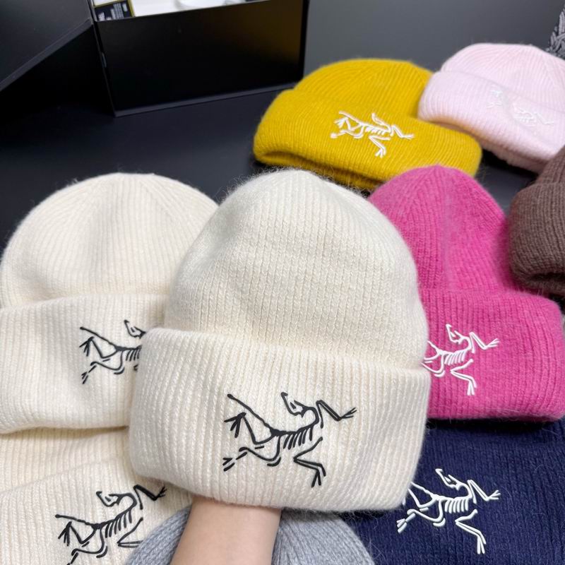 Arcteryx hat dx (306)