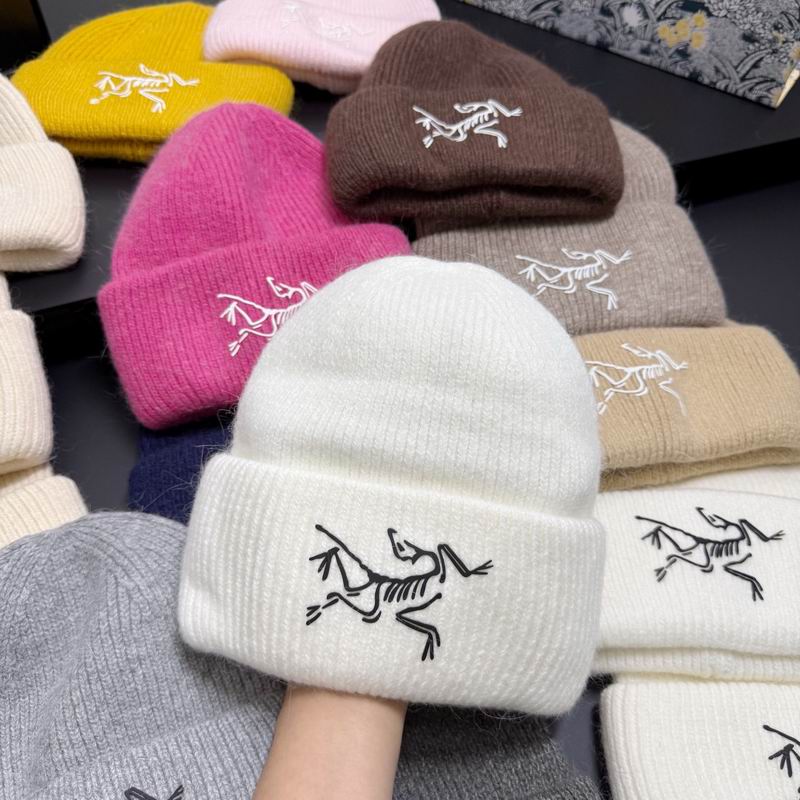 Arcteryx hat dx (307)